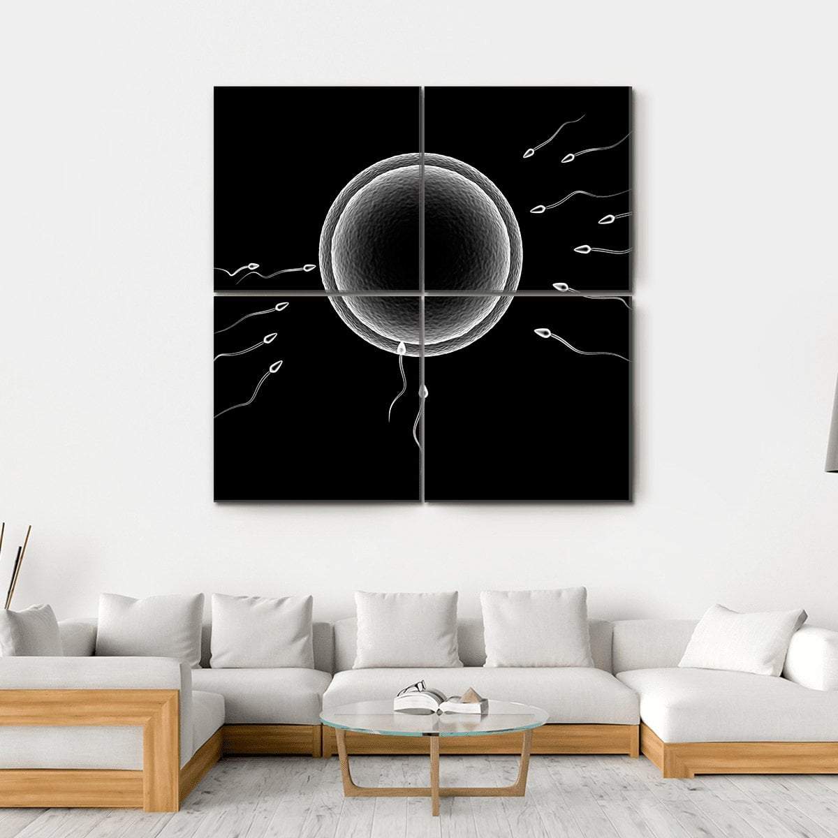 Sperm And Human Egg Canvas Wall Art-4 Square-Gallery Wrap-17" x 17"-Tiaracle
