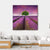 Lavender Field In Summer Canvas Wall Art-4 Square-Gallery Wrap-17" x 17"-Tiaracle