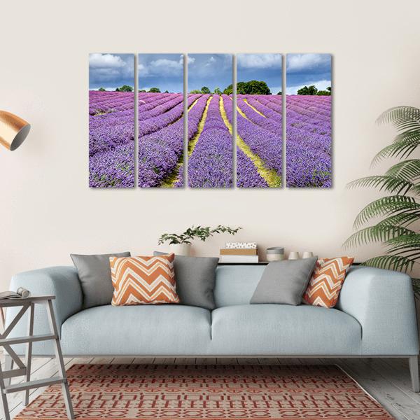 Lavender Field Canvas Wall Art-5 Horizontal-Gallery Wrap-22" x 12"-Tiaracle