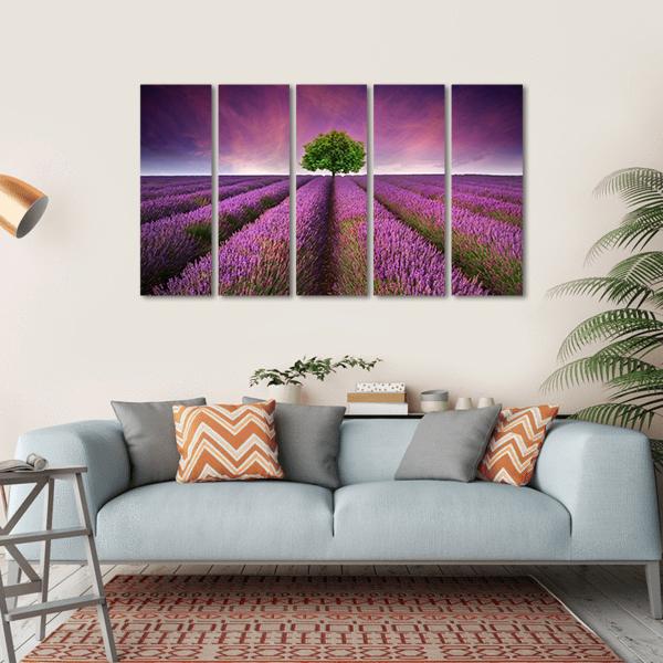 Lavender Field In Summer Canvas Wall Art-5 Horizontal-Gallery Wrap-22" x 12"-Tiaracle