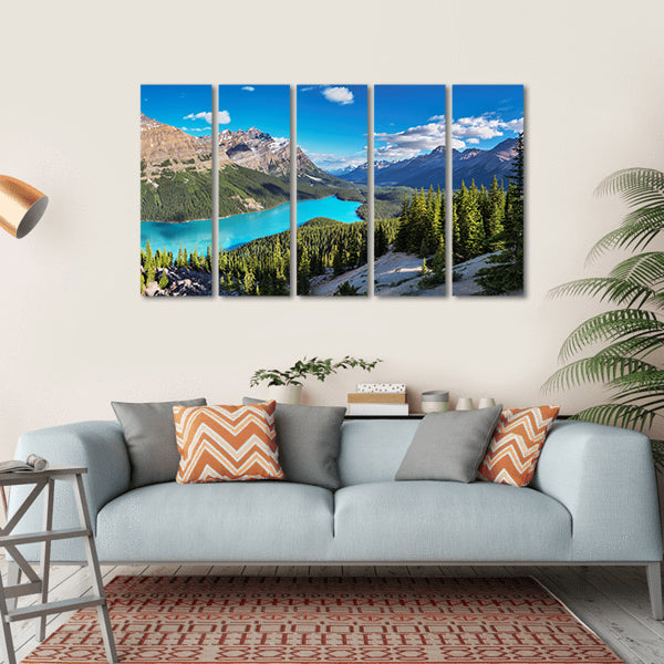 Peyto Lake In Rocky Mountains Of Canada Canvas Wall Art