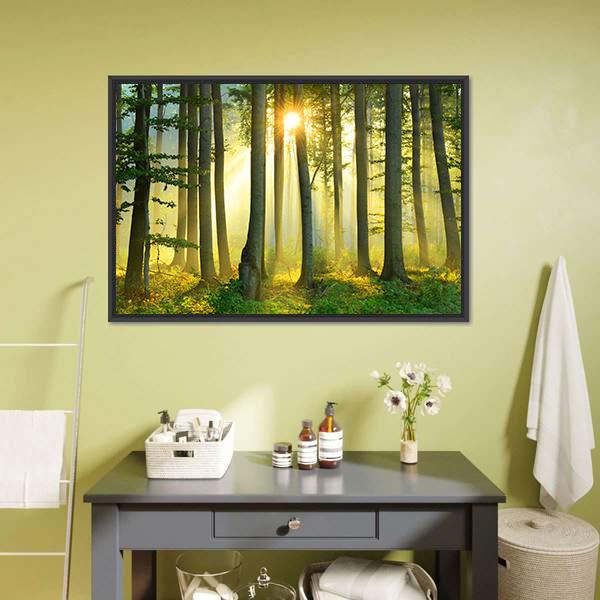 Forest Morning Canvas Wall Art-3 Horizontal-Gallery Wrap-25" x 16"-Tiaracle