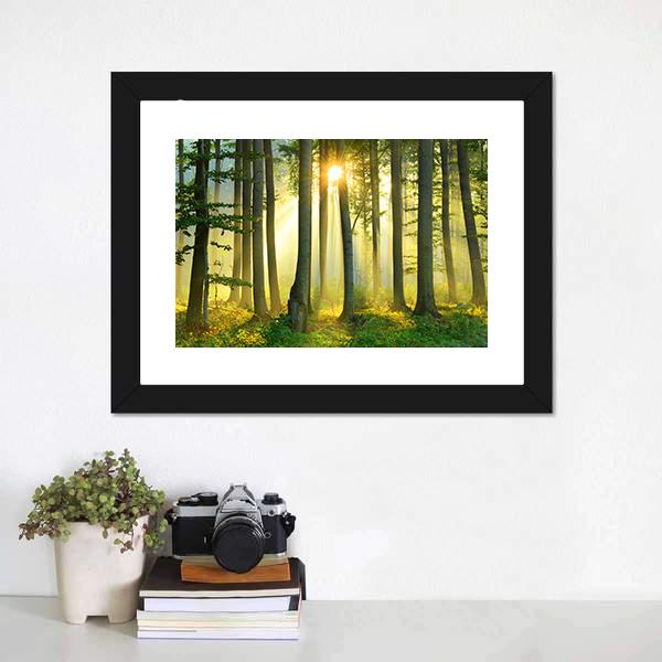 Forest Morning Canvas Wall Art-3 Horizontal-Gallery Wrap-25&quot; x 16&quot;-Tiaracle