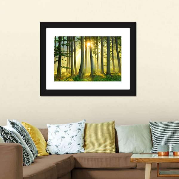 Forest Morning Canvas Wall Art-3 Horizontal-Gallery Wrap-25&quot; x 16&quot;-Tiaracle