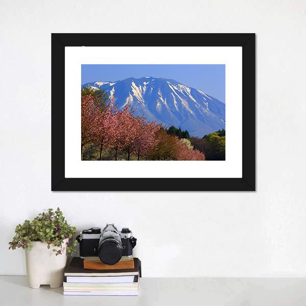 Iwate & Cherry Tree Canvas Wall Art-3 Horizontal-Gallery Wrap-25" x 16"-Tiaracle