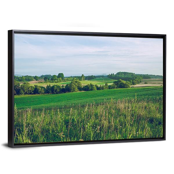 Meadow In Summer Canvas Wall Art-1 Piece-Floating Frame-24" x 16"-Tiaracle