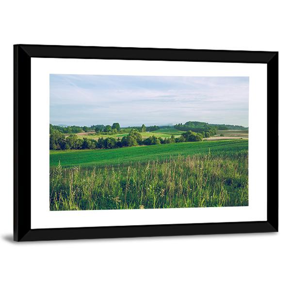 Meadow In Summer Canvas Wall Art-1 Piece-Framed Print-20" x 16"-Tiaracle