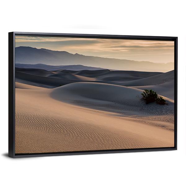 Mesquite Flat Sand Dunes Canvas Wall Art-1 Piece-Floating Frame-24" x 16"-Tiaracle