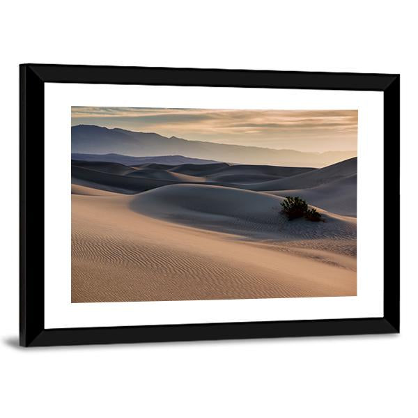Mesquite Flat Sand Dunes Canvas Wall Art-1 Piece-Framed Print-20" x 16"-Tiaracle