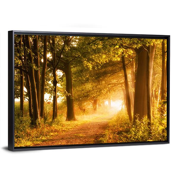 Misty Footpath in Autumn Forest Canvas Wall Art in brown, yellow and green, framed canvas, product view on a white background