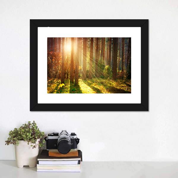 Misty Old Forest Autumn Canvas Wall Art-3 Horizontal-Gallery Wrap-25&quot; x 16&quot;-Tiaracle