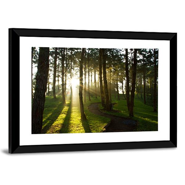Morning In Pine Forest Canvas Wall Art-3 Horizontal-Gallery Wrap-25&quot; x 16&quot;-Tiaracle