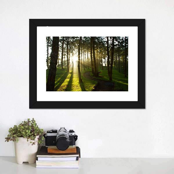 Morning In Pine Forest Canvas Wall Art-3 Horizontal-Gallery Wrap-25&quot; x 16&quot;-Tiaracle