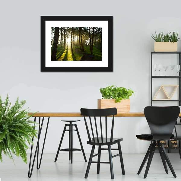 Morning In Pine Forest Canvas Wall Art-3 Horizontal-Gallery Wrap-25&quot; x 16&quot;-Tiaracle