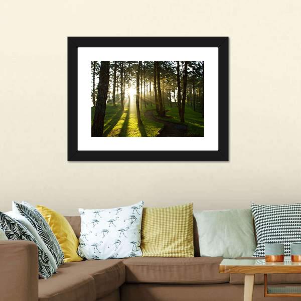 Morning In Pine Forest Canvas Wall Art-3 Horizontal-Gallery Wrap-25&quot; x 16&quot;-Tiaracle