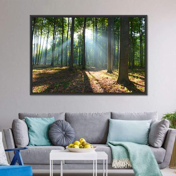 Morning In The Forest Canvas Wall Art-3 Horizontal-Gallery Wrap-25&quot; x 16&quot;-Tiaracle