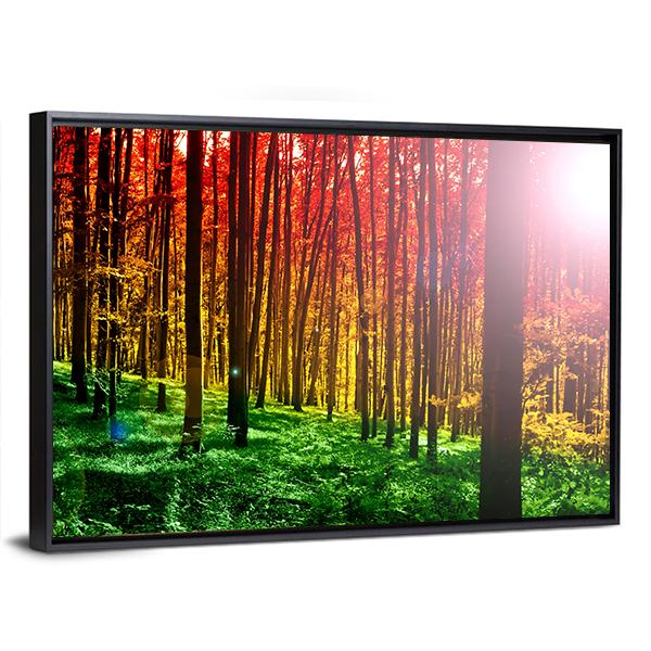 Mystical Forest With Sun Rays Canvas Wall Art-3 Horizontal-Gallery Wrap-25" x 16"-Tiaracle
