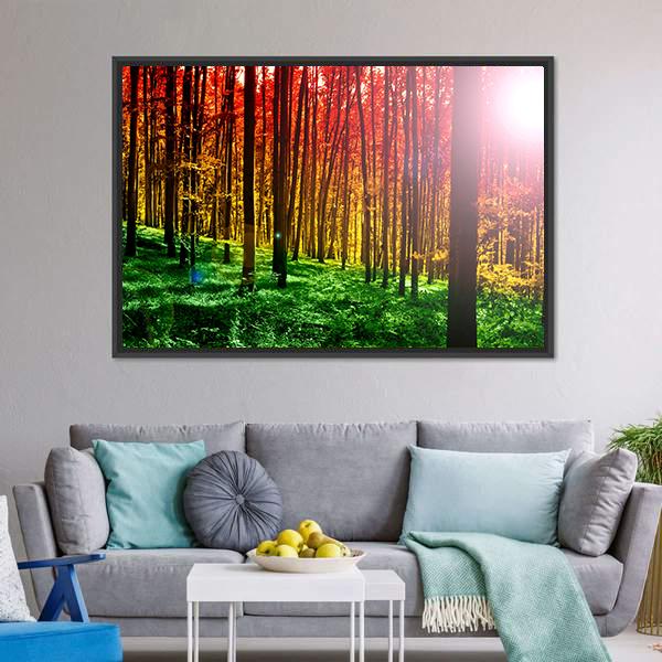 Mystical Forest With Sun Rays Canvas Wall Art-3 Horizontal-Gallery Wrap-25" x 16"-Tiaracle