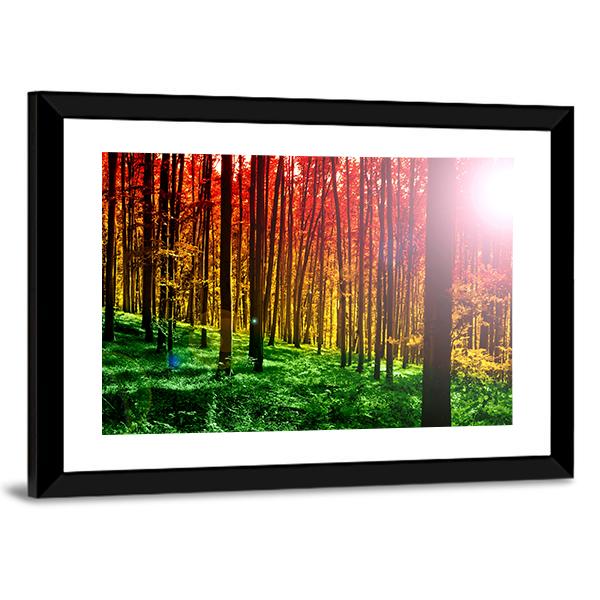 Mystical Forest With Sun Rays Canvas Wall Art-3 Horizontal-Gallery Wrap-25" x 16"-Tiaracle