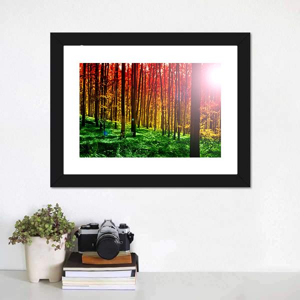 Mystical Forest With Sun Rays Canvas Wall Art-3 Horizontal-Gallery Wrap-25" x 16"-Tiaracle