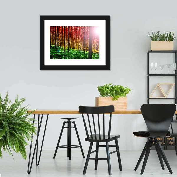 Mystical Forest With Sun Rays Canvas Wall Art-3 Horizontal-Gallery Wrap-25" x 16"-Tiaracle