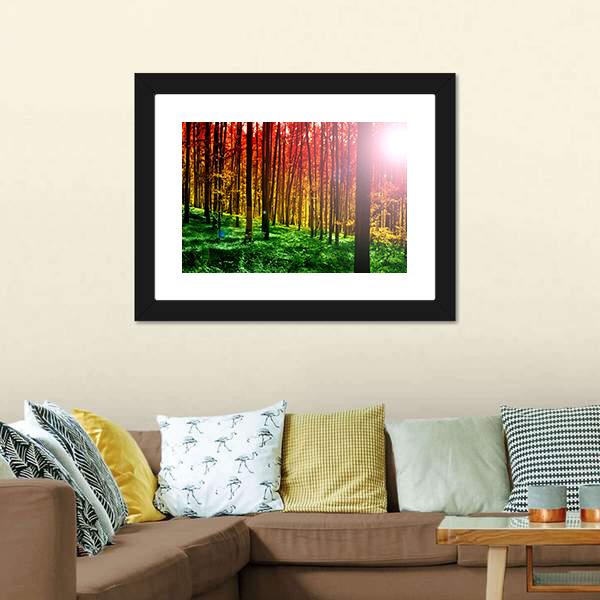 Mystical Forest With Sun Rays Canvas Wall Art-3 Horizontal-Gallery Wrap-25" x 16"-Tiaracle