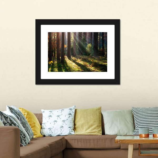 Old Autumn Forest Canvas Wall Art-3 Horizontal-Gallery Wrap-25&quot; x 16&quot;-Tiaracle