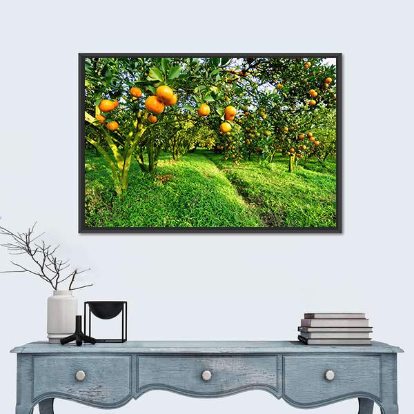 Orange Tree Canvas Wall Art-3 Horizontal-Gallery Wrap-25" x 16"-Tiaracle