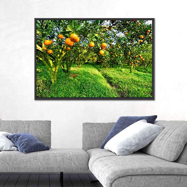 Orange Tree Canvas Wall Art-5 Horizontal-Gallery Wrap-22" x 12"-Tiaracle