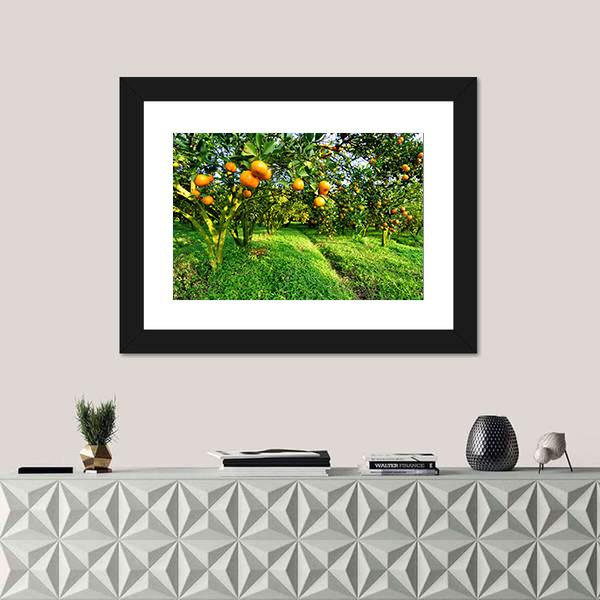 Orange Tree Canvas Wall Art-3 Horizontal-Gallery Wrap-25" x 16"-Tiaracle