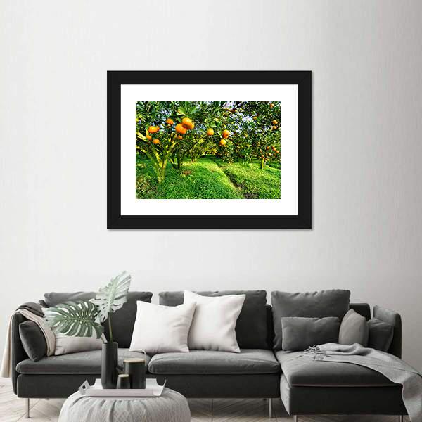 Orange Tree Canvas Wall Art-3 Horizontal-Gallery Wrap-25" x 16"-Tiaracle