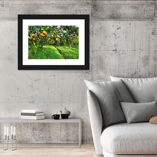 Orange Tree Canvas Wall Art-3 Horizontal-Gallery Wrap-25" x 16"-Tiaracle