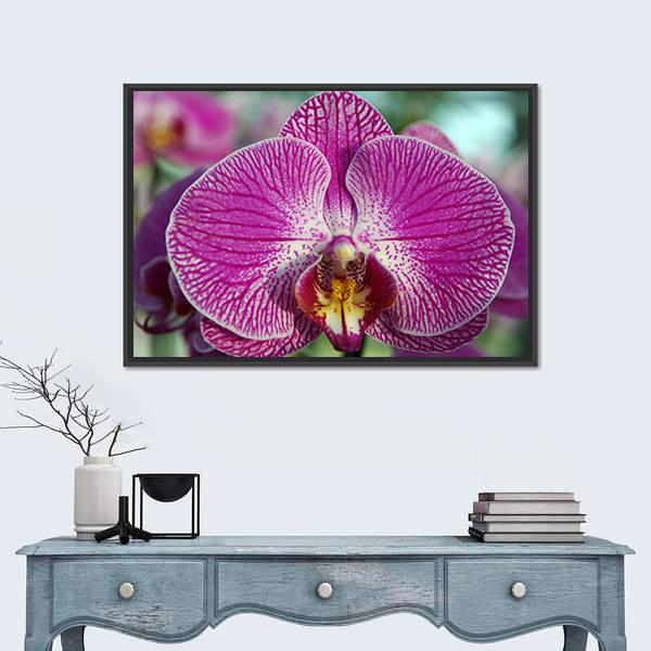 Orchid Flower Canvas Wall Art-1 Piece-Floating Frame-24" x 16"-Tiaracle