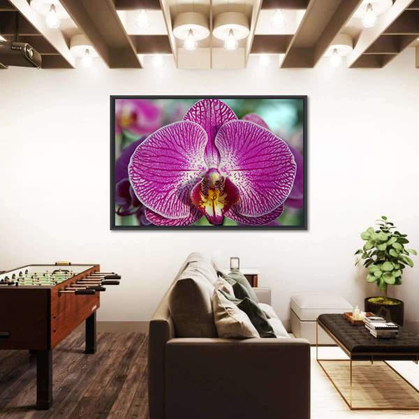 Orchid Flower Canvas Wall Art-5 Horizontal-Gallery Wrap-22" x 12"-Tiaracle