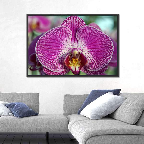 Orchid Flower Canvas Wall Art-5 Horizontal-Gallery Wrap-22" x 12"-Tiaracle