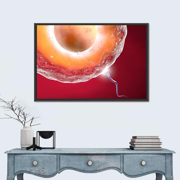 Ovum And Sperm Canvas Wall Art-3 Horizontal-Gallery Wrap-25" x 16"-Tiaracle