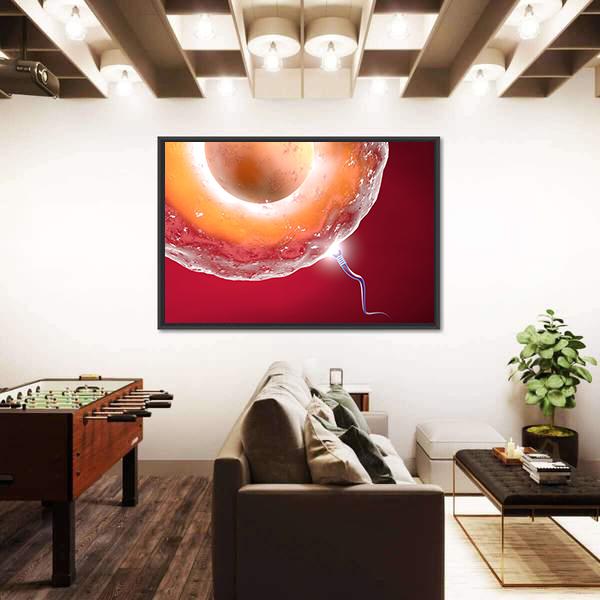 Ovum And Sperm Canvas Wall Art-3 Horizontal-Gallery Wrap-25" x 16"-Tiaracle