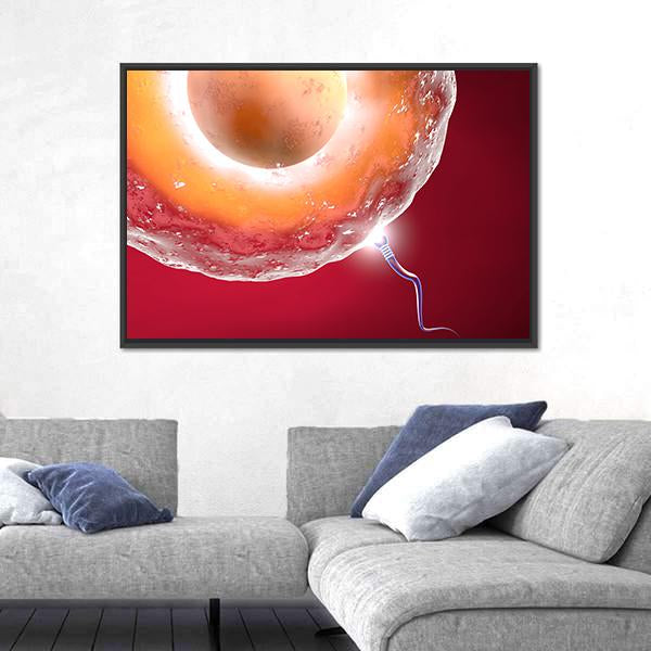 Ovum And Sperm Canvas Wall Art-3 Horizontal-Gallery Wrap-25" x 16"-Tiaracle