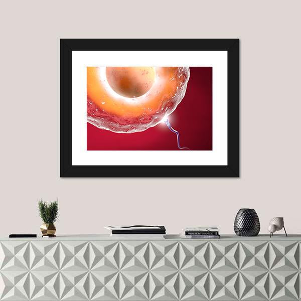 Ovum And Sperm Canvas Wall Art-3 Horizontal-Gallery Wrap-25" x 16"-Tiaracle
