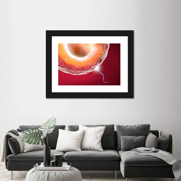 Ovum And Sperm Canvas Wall Art-3 Horizontal-Gallery Wrap-25" x 16"-Tiaracle
