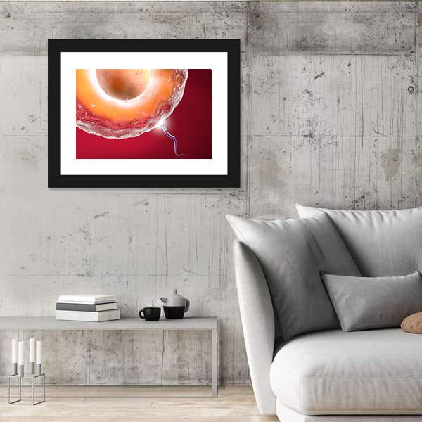 Ovum And Sperm Canvas Wall Art-3 Horizontal-Gallery Wrap-25" x 16"-Tiaracle