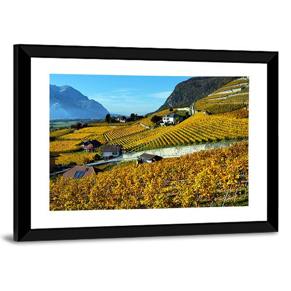 Panorama Of Autumn Vineyards Canvas Wall Art-3 Horizontal-Gallery Wrap-25" x 16"-Tiaracle
