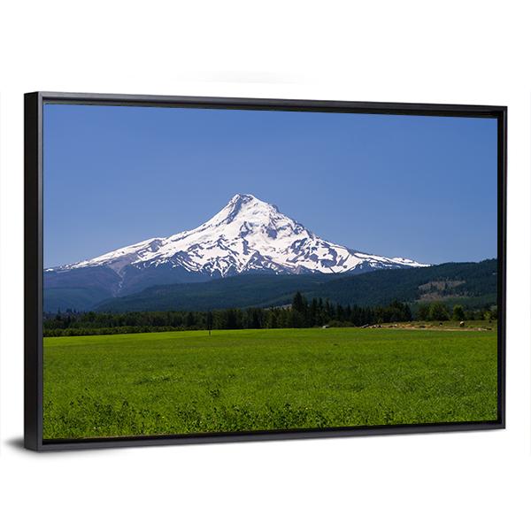 Pasture With View Of Mt Hood Canvas Wall Art-3 Horizontal-Gallery Wrap-25" x 16"-Tiaracle