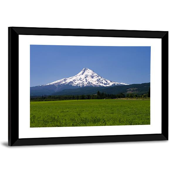 Pasture With View Of Mt Hood Canvas Wall Art-3 Horizontal-Gallery Wrap-25" x 16"-Tiaracle