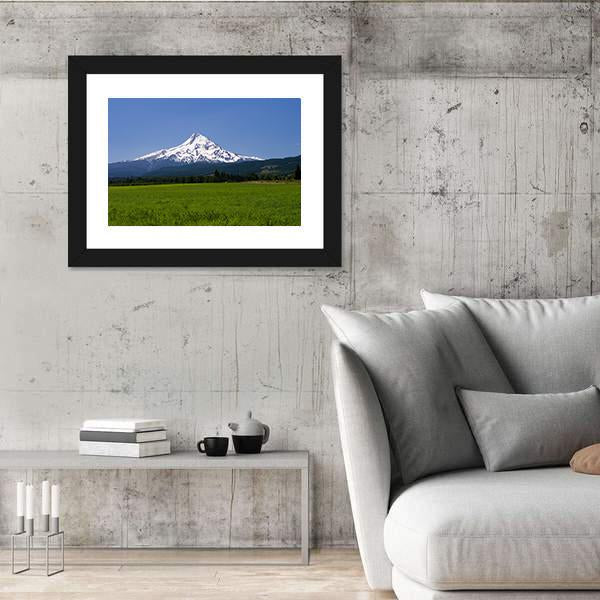 Pasture With View Of Mt Hood Canvas Wall Art-3 Horizontal-Gallery Wrap-25" x 16"-Tiaracle