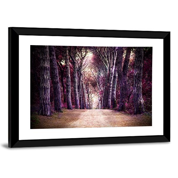 Path In Forest Somewhere In Magic Wood Canvas Wall Art-5 Horizontal-Gallery Wrap-22" x 12"-Tiaracle