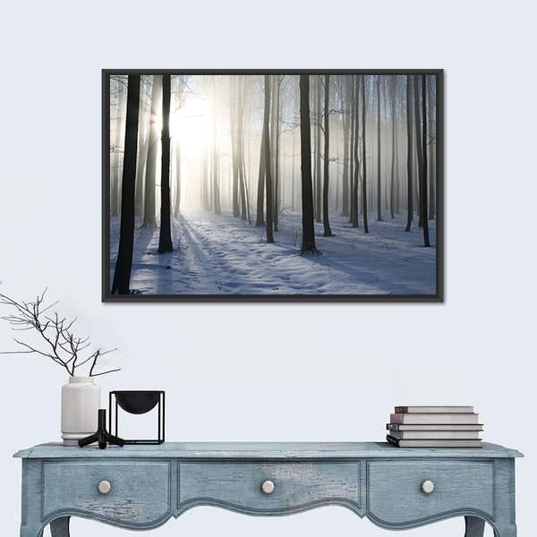 Path In The Misty Winter Forest Backlit By The Morning Sun Canvas Wall Art-1 Piece-Floating Frame-24" x 16"-Tiaracle