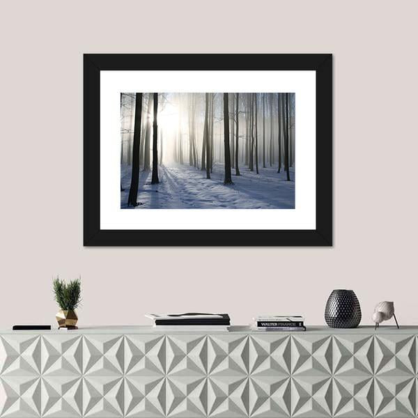 Path In The Misty Winter Forest Backlit By The Morning Sun Canvas Wall Art-1 Piece-Framed Print-20" x 16"-Tiaracle