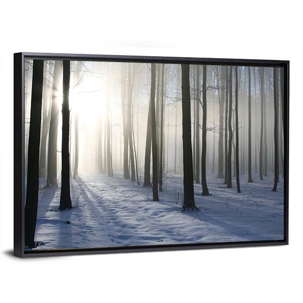 Path In The Misty Winter Forest Backlit By The Morning Sun Canvas Wall Art-3 Horizontal-Gallery Wrap-25" x 16"-Tiaracle
