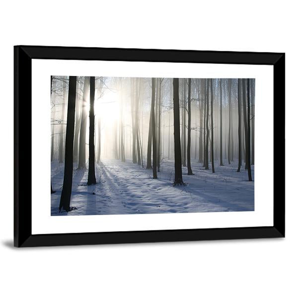 Path In The Misty Winter Forest Backlit By The Morning Sun Canvas Wall Art-3 Horizontal-Gallery Wrap-25" x 16"-Tiaracle